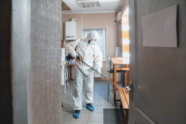 Best Forensic Mold Investigation  in Lexington, MI