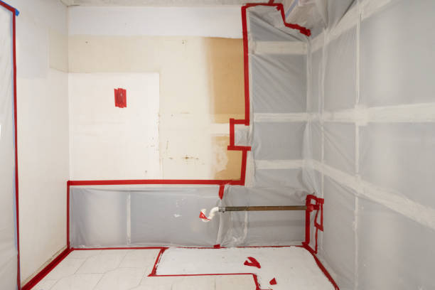  Lexington, MI Mold Removal Pros